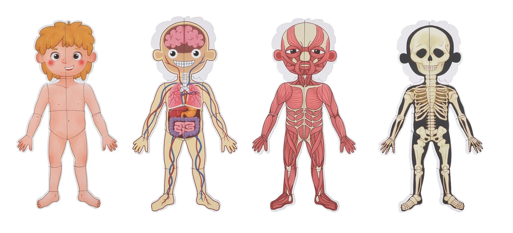 Tooky Toy Magnetic Body Chart - Image 2