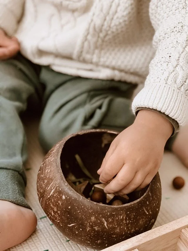 Qtoys Coconut Sensory Bowl