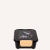 Montii Co Bento Two Lunch Box Dinosaur Land